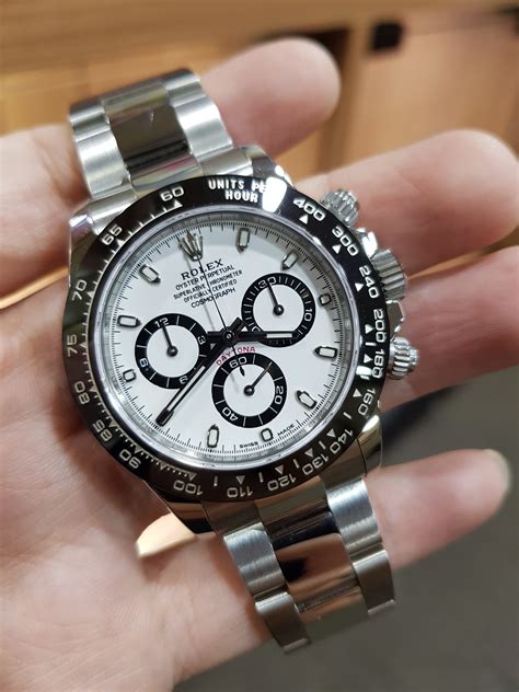 rolex daytona panda